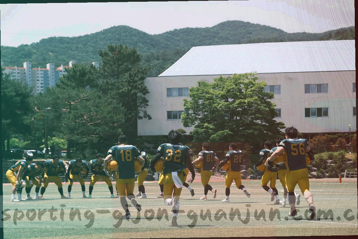 夜色中看台上飘扬的旗帜与红白相间的队徽元素